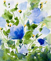 Image Not Available
